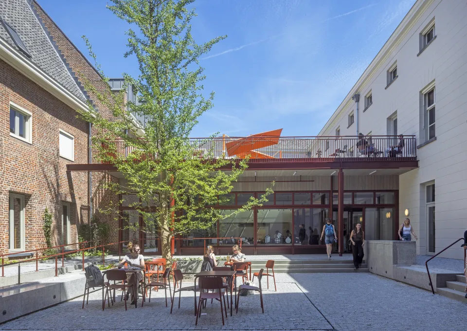 Binnenplein Huis73 met ginko Biloba op de achtergrond