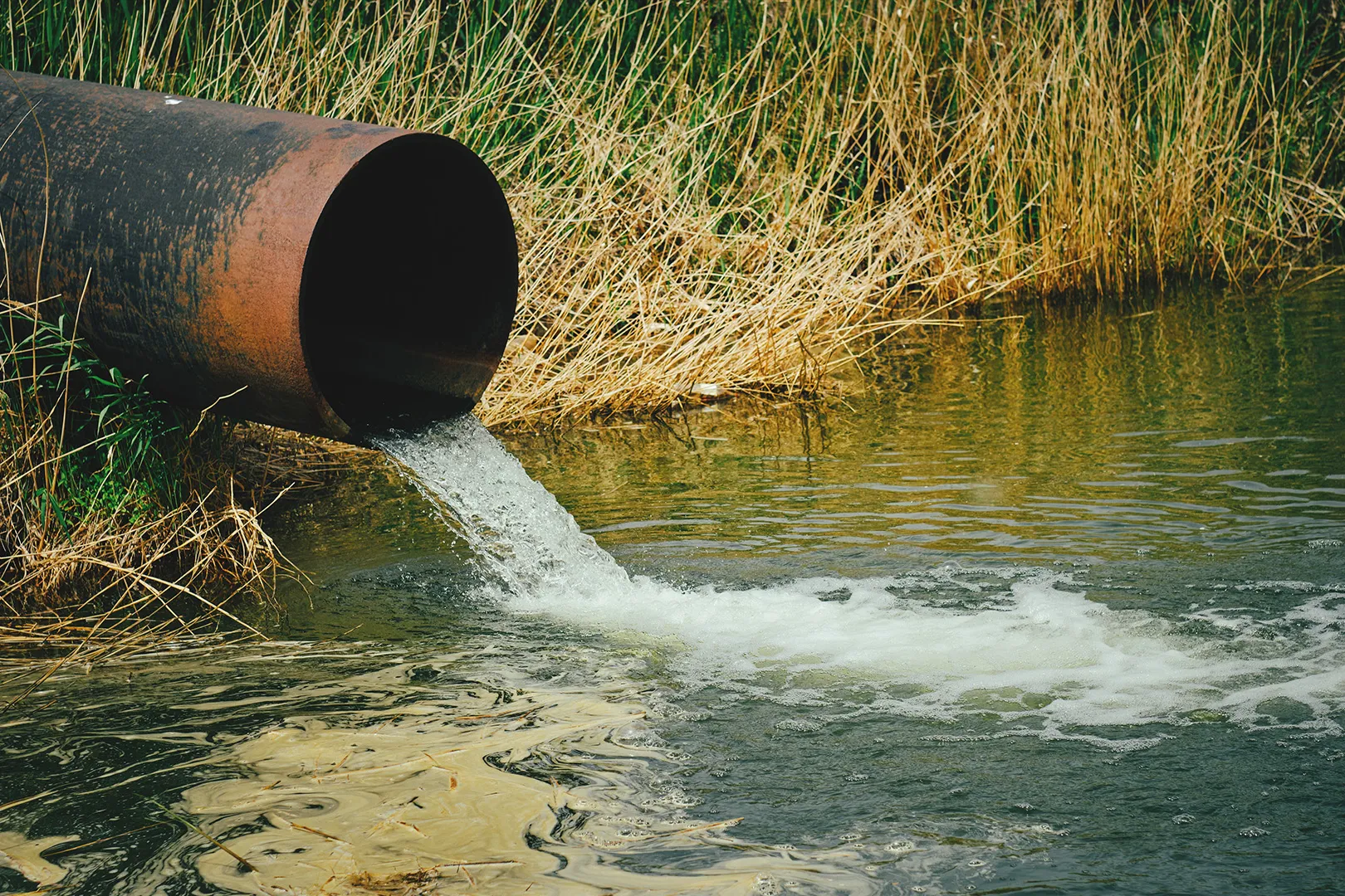 RUW-Rechten-voor-de-Rivier.jpg