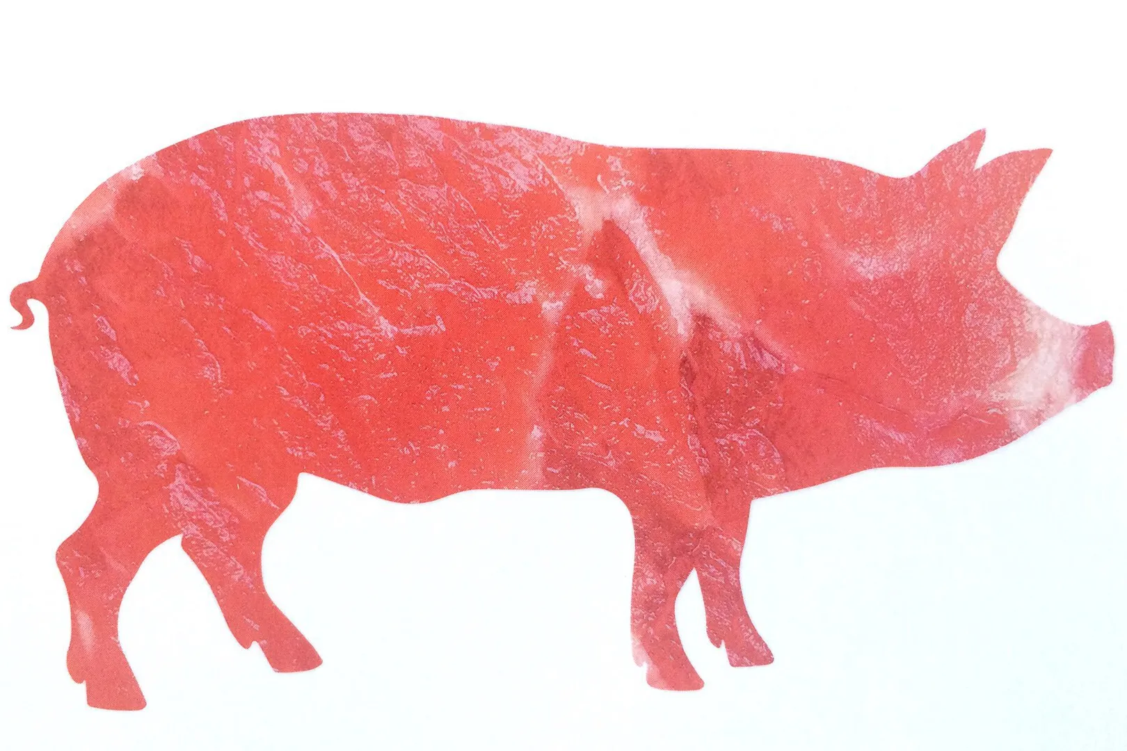 ruw-mal-ooit-aten-we-dieren.jpg
