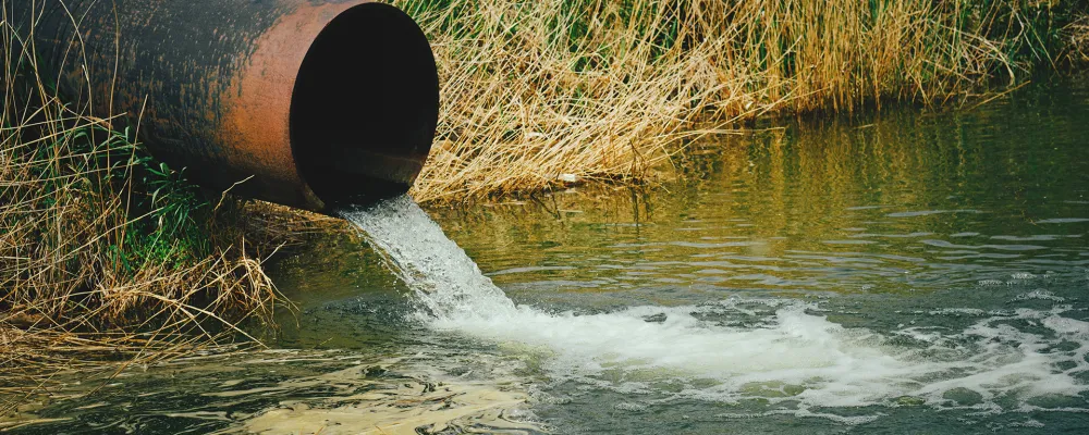 RUW-Rechten-voor-de-Rivier.jpg