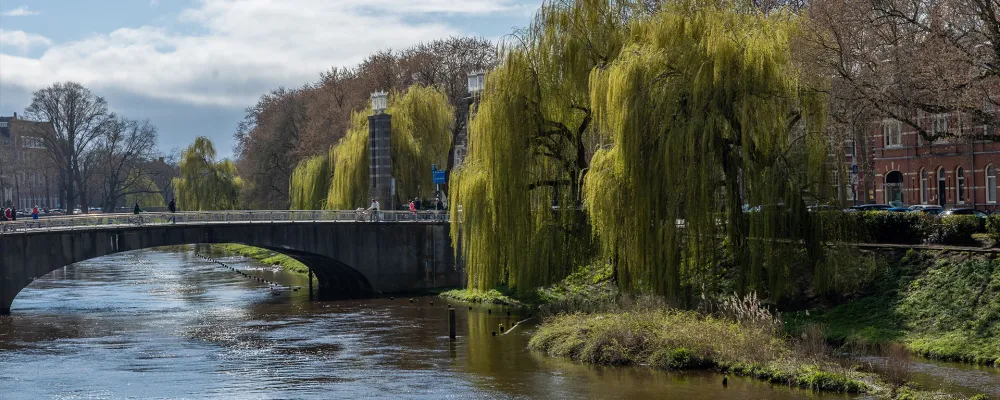 RUW-Wandeling-langs-de-dommel.jpg