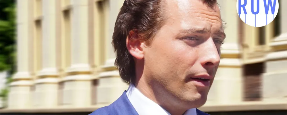 ruw-baudet1.jpg
