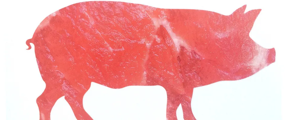 ruw-mal-ooit-aten-we-dieren.jpg